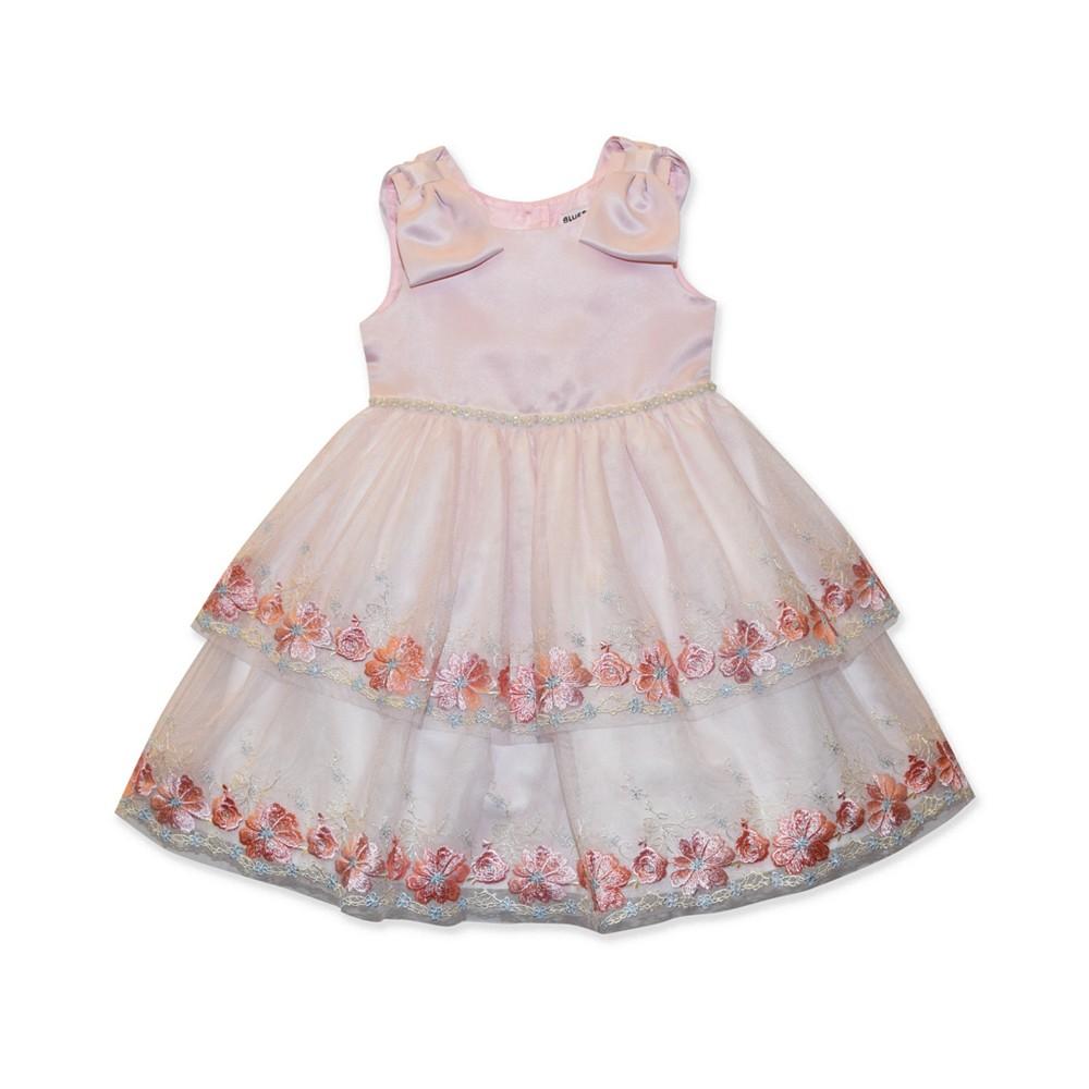 Blueberi Boulevard Baby Girls Tiered Embroidery Dress