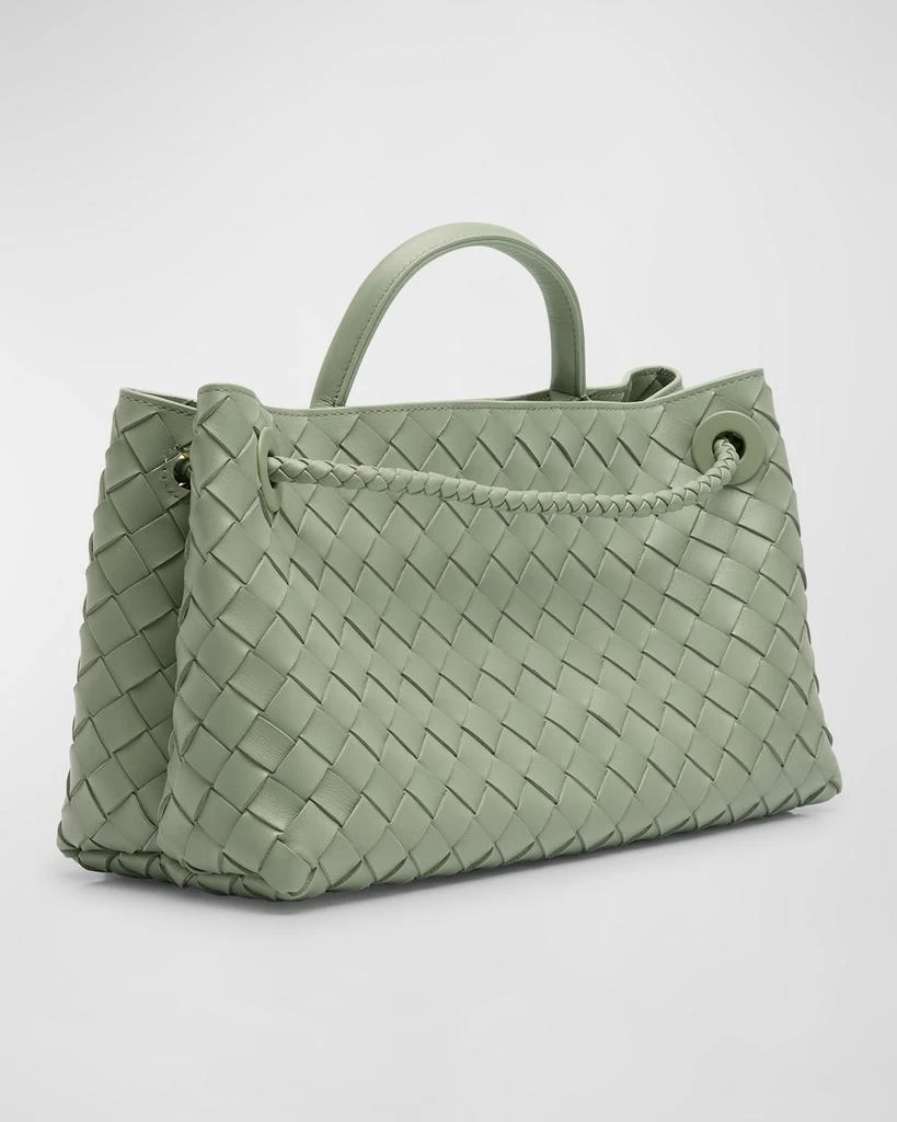 Bottega Veneta Small East-West Andiamo Bag 7
