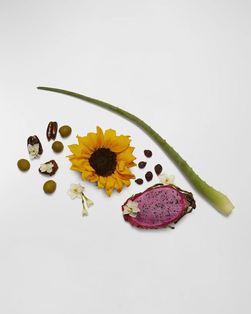 Agent Nateur Holi (Cleanse) Cleansing Face Oil Makeup Remover 5