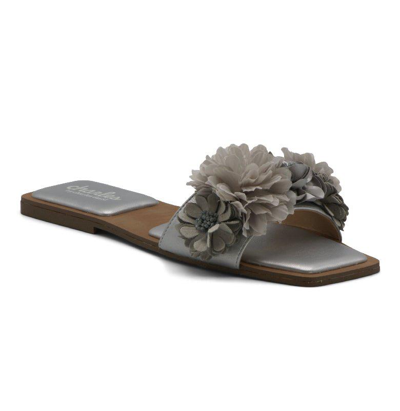 Charles David Orderly Slide