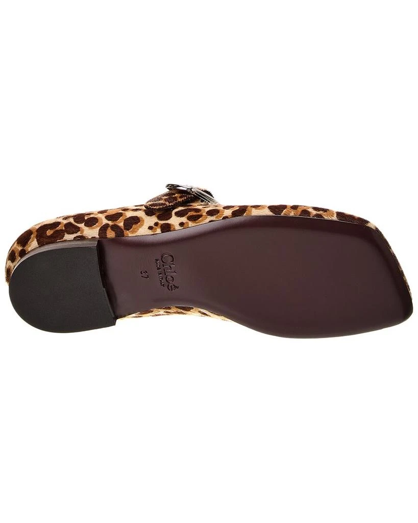 Chloé Polly Haircalf Ballerina Flat 4