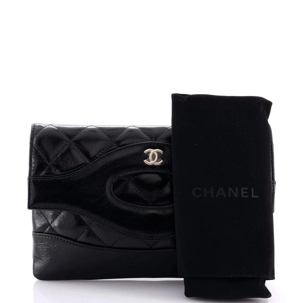 Chanel 31 Wallet on Chain Quilted Shiny Lambskin 2