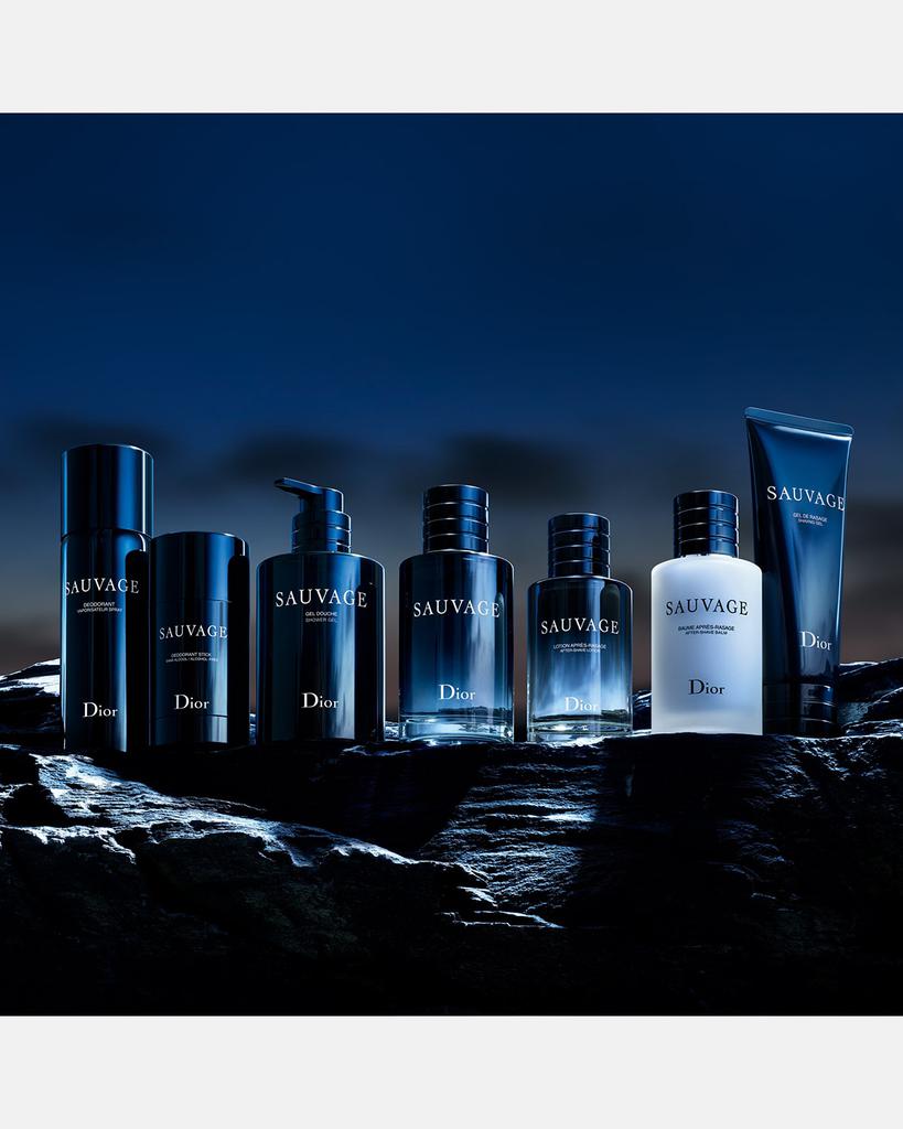 Dior Sauvage Deodorant Stick
