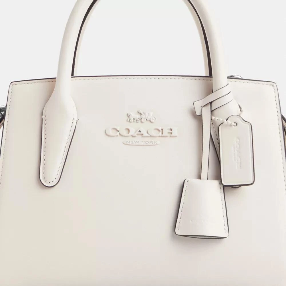 Coach Andrea Carryall Bag 9