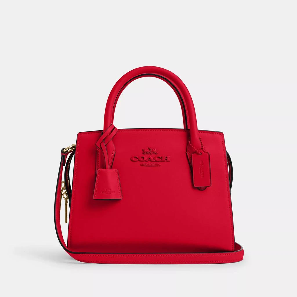 Coach Andrea Carryall 13
