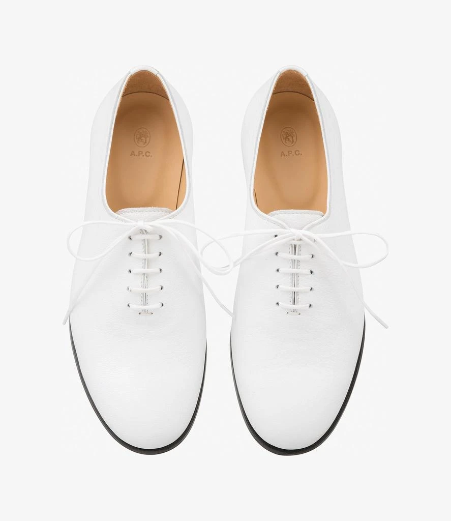 Anastasia Barbieri Frank F derbies 4