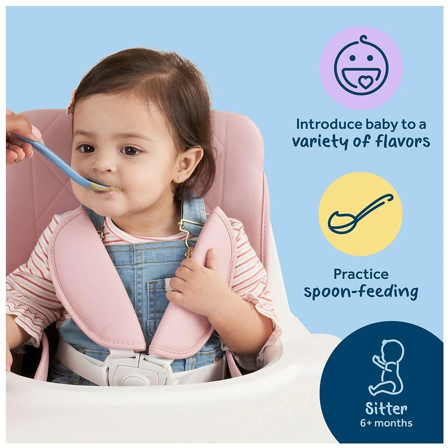 Gerber 2nd Foods WonderFoods Baby Food Banana Apple Pear 5