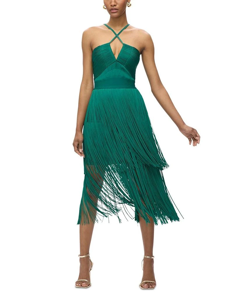 Herve Leger The Natalia Fringe Dress 3
