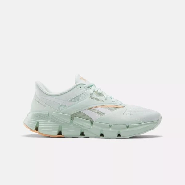 Reebok Zig Dynamica 5 Shoes 1