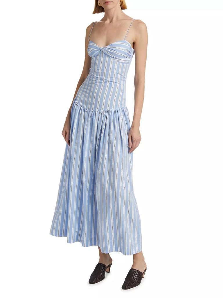 SWF Rapture Striped Fit & Flare Dress 4