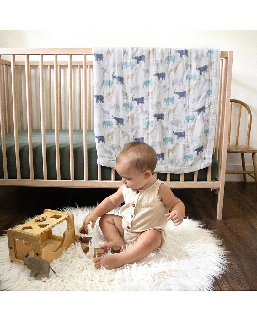 aden + anais Silky Soft Printed Dream Blanket 2