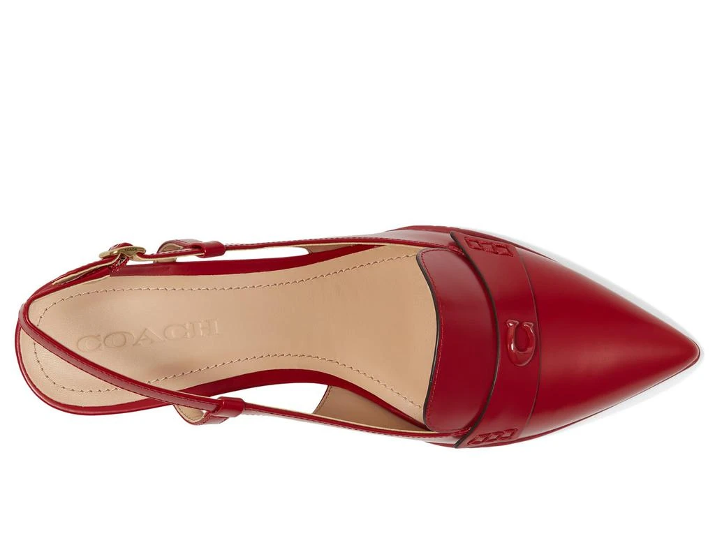 Coach Nikola Slingback 2