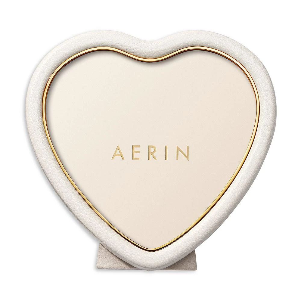 AERIN Heart Frame 2