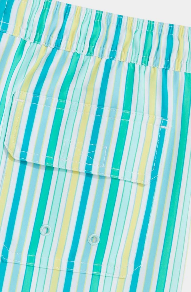 Vineyard Vines Kids' Chappy Crab Print Swim Trunks 5