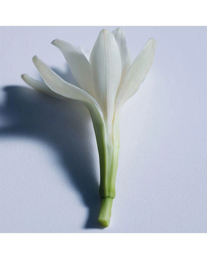 Chloé Atelier des Fleurs Tubéreuse Lazuli Eau de Parfum 9