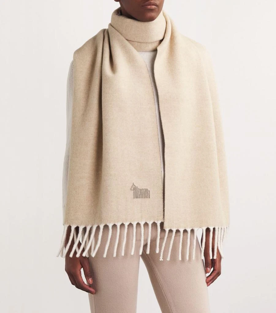 LANIFICIO COLOMBO Cashmere Scarf 4