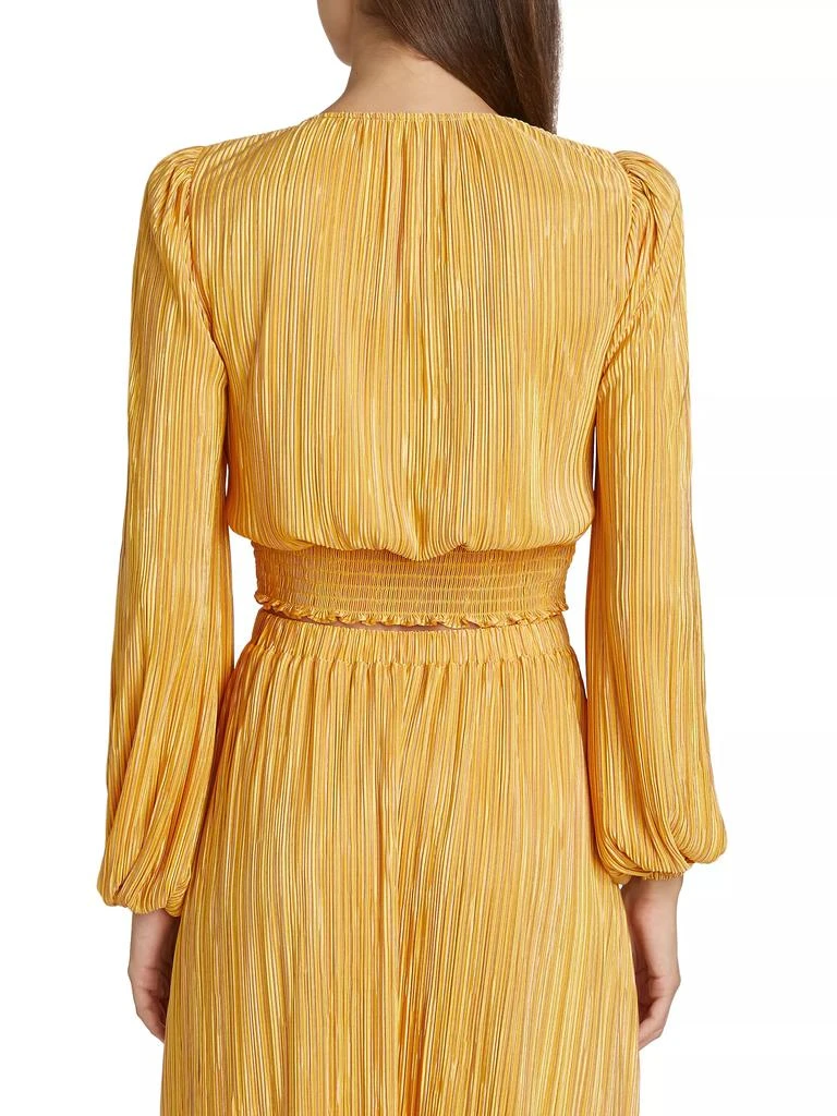 Ramy Brook Yolande Pleated Crop Top 5