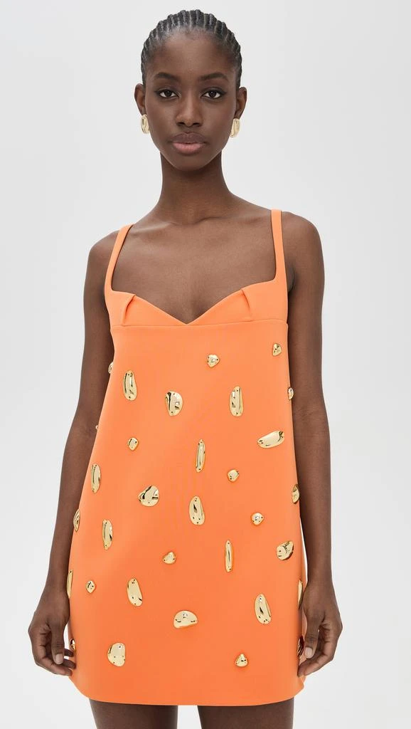 Alexis Larsen Dress 1