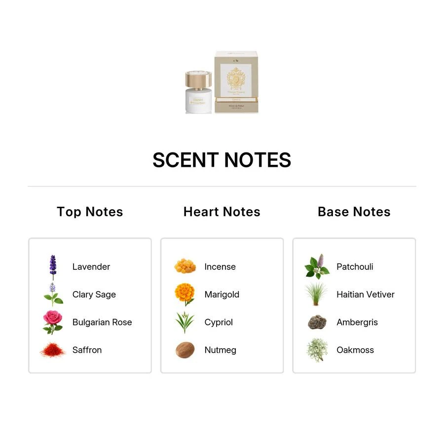 Tiziana Terenzi Tiziana Terenzi Gemini Unisex ExDP 3