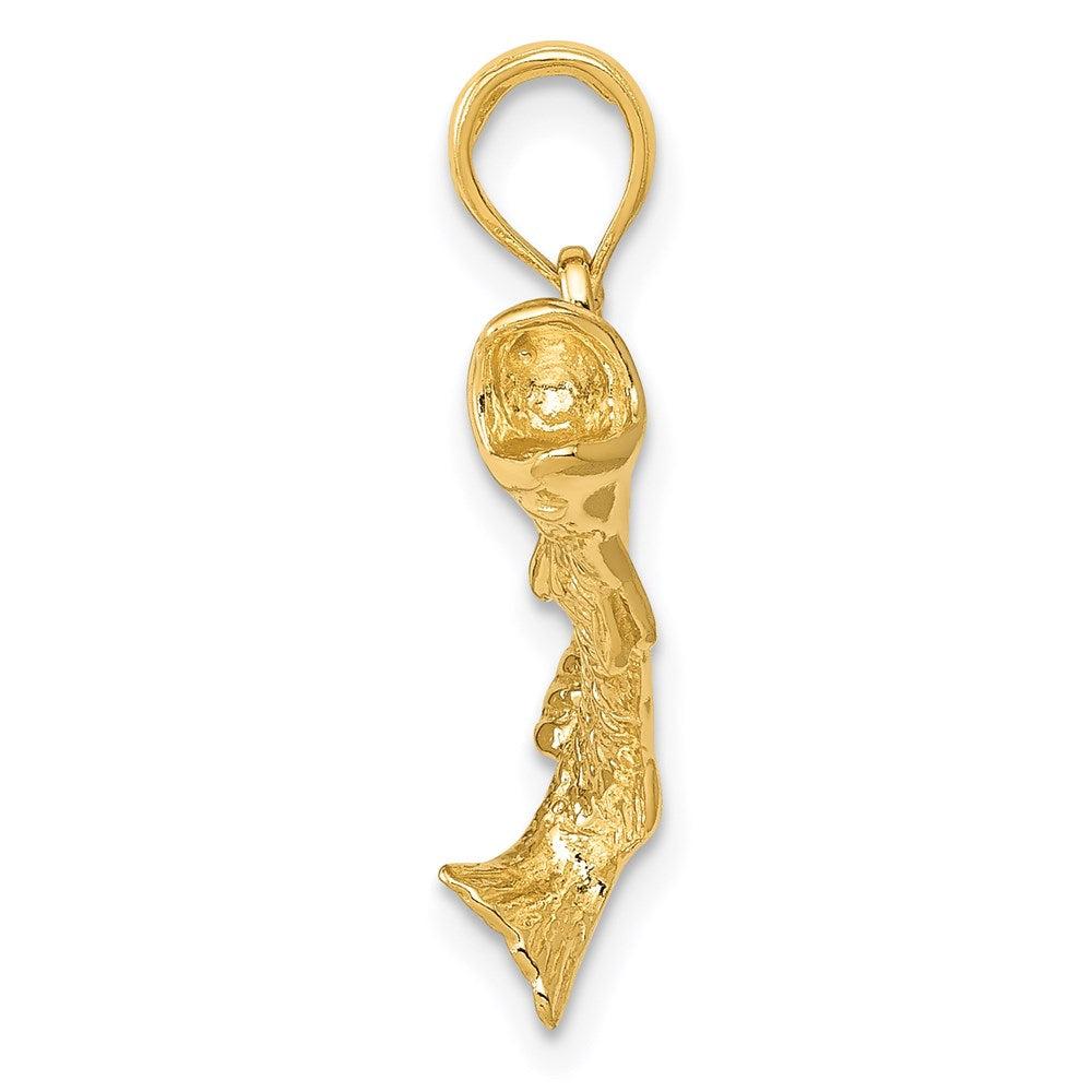 Diamond2Deal 14k Yellow Gold Gold Polished Textured Bass Fish Pendant