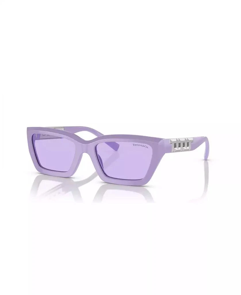 Tiffany & Co. Women's Sunglasses TF4213 1