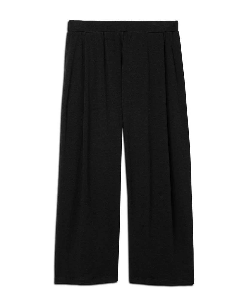 Eileen Fisher Straight Ankle Pants 5