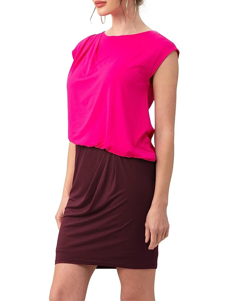 Trina Turk 5th Avenue Colorblocked Blouson Minidress 3