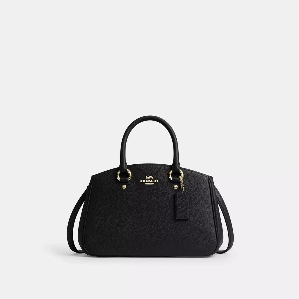 Coach Savannah Small Carryall Bag 7