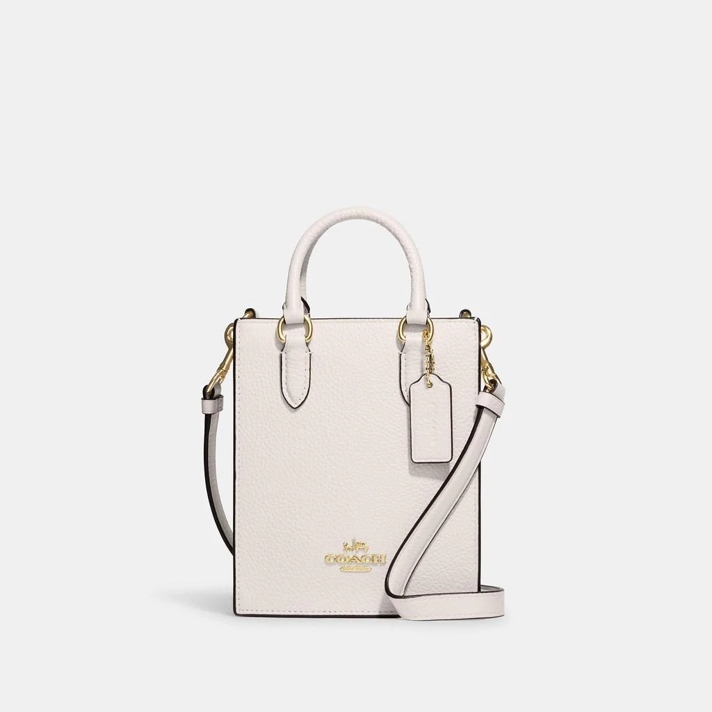 Coach North South Mini Tote 6