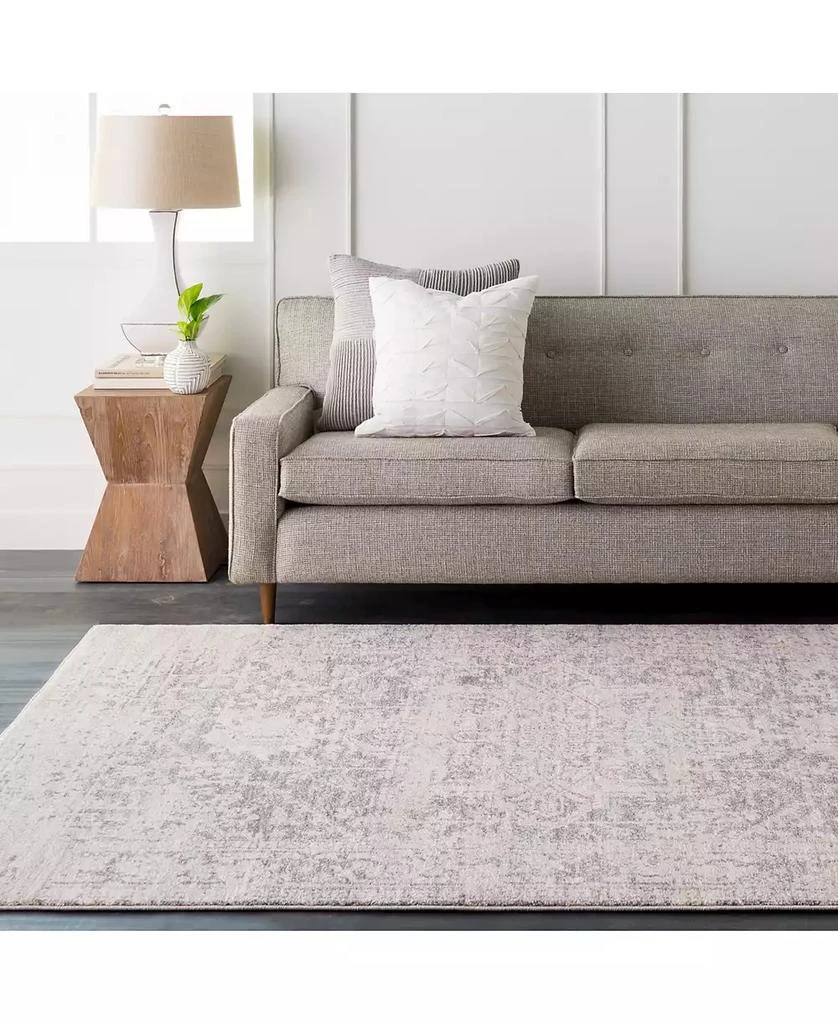 Surya Harput HAP-1024 Gray 2'7" x 7'3" Area Rug 5