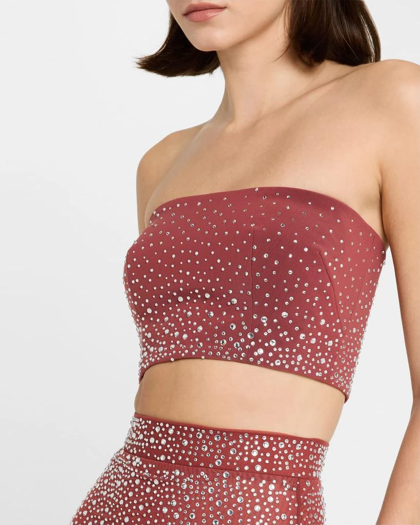 Alex Perry Strapless Crop Top in Crystal Mesh 5