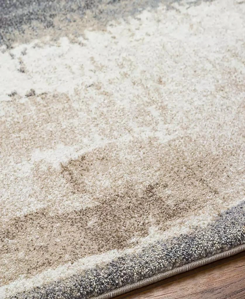 Surya Tuscany TUS-2344 4'3x5'7 Area Rug 3