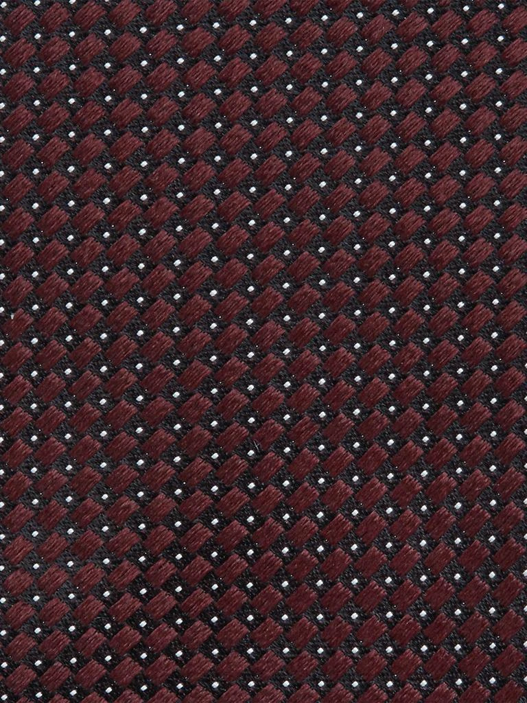 Zegna Silk Tie 3
