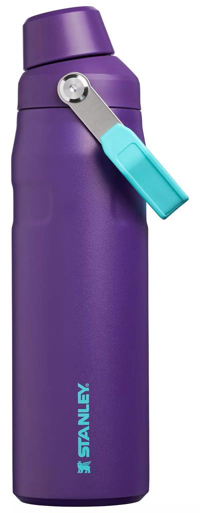 Stanley Stanley 24 oz. IceFlow Bottle with Fast Flow Lid