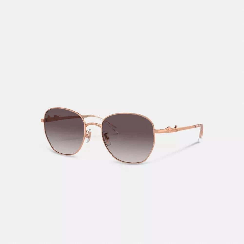 Coach Coach Script Round Sunglasses 1