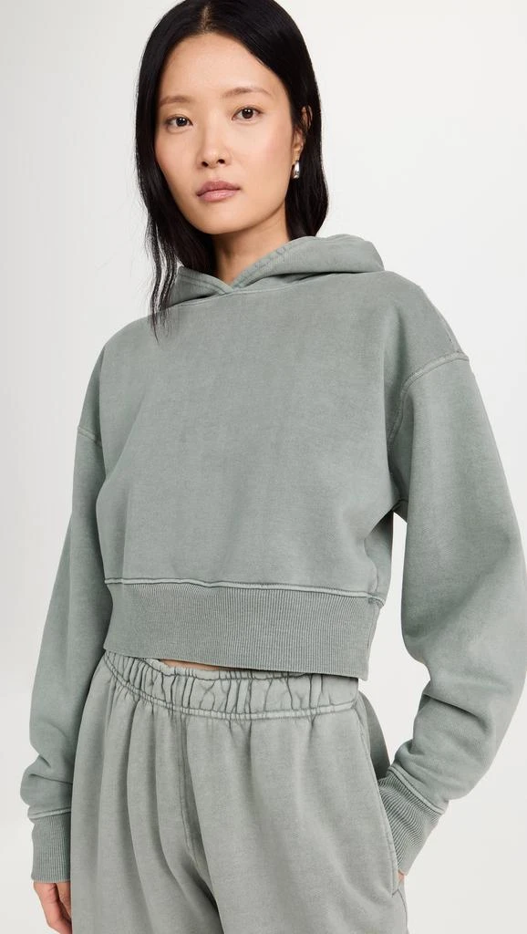 SLVRLAKE Crop Hoodie 1