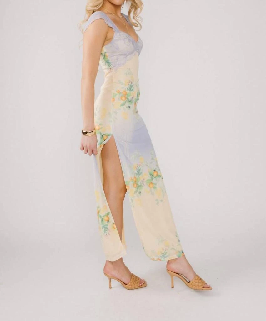 chinese dress ladies Curve & Plus Garden Tea Party Corset Dress