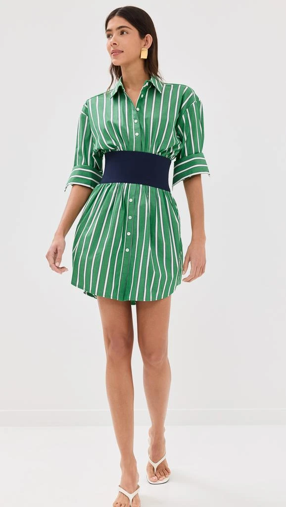 Staud Michelle Dress 4