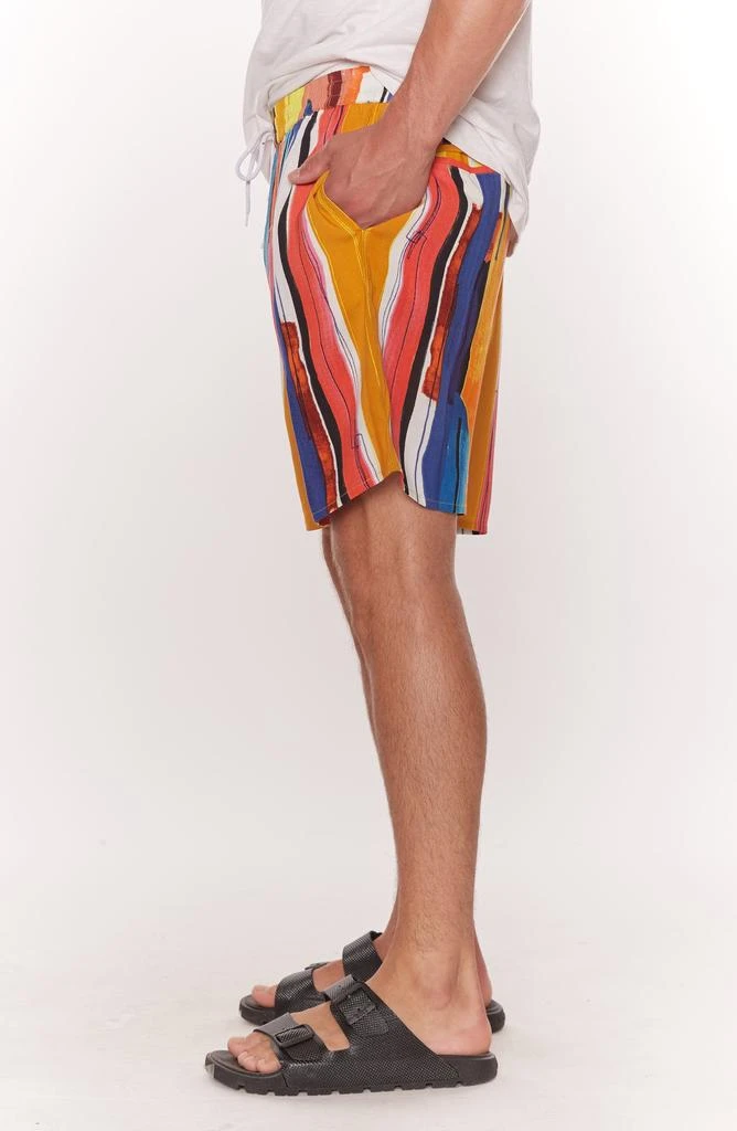 Raga Paint Stroke Shorts 4