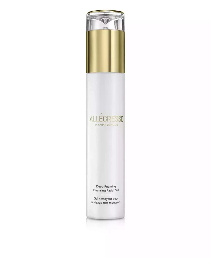 Allegresse 24 Karat Skin Care Allegresse 24K Skincare Deep Foaming Cleansing Facial Gel 4.0 oz 1