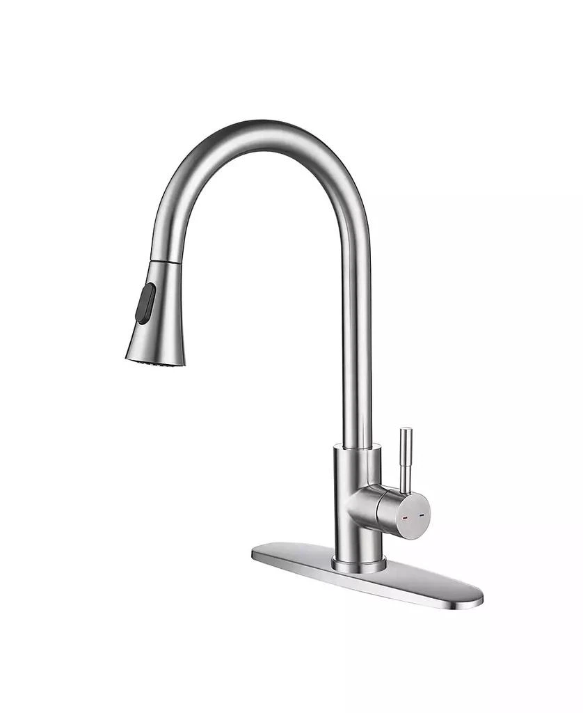 Flynama Kitchen Faucet with Pull Out Spraye