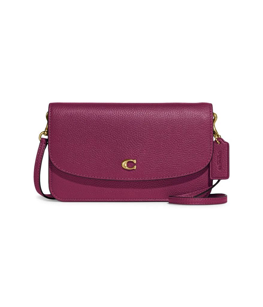Coach Polished Pebble Leather Hayden Crossbody 1