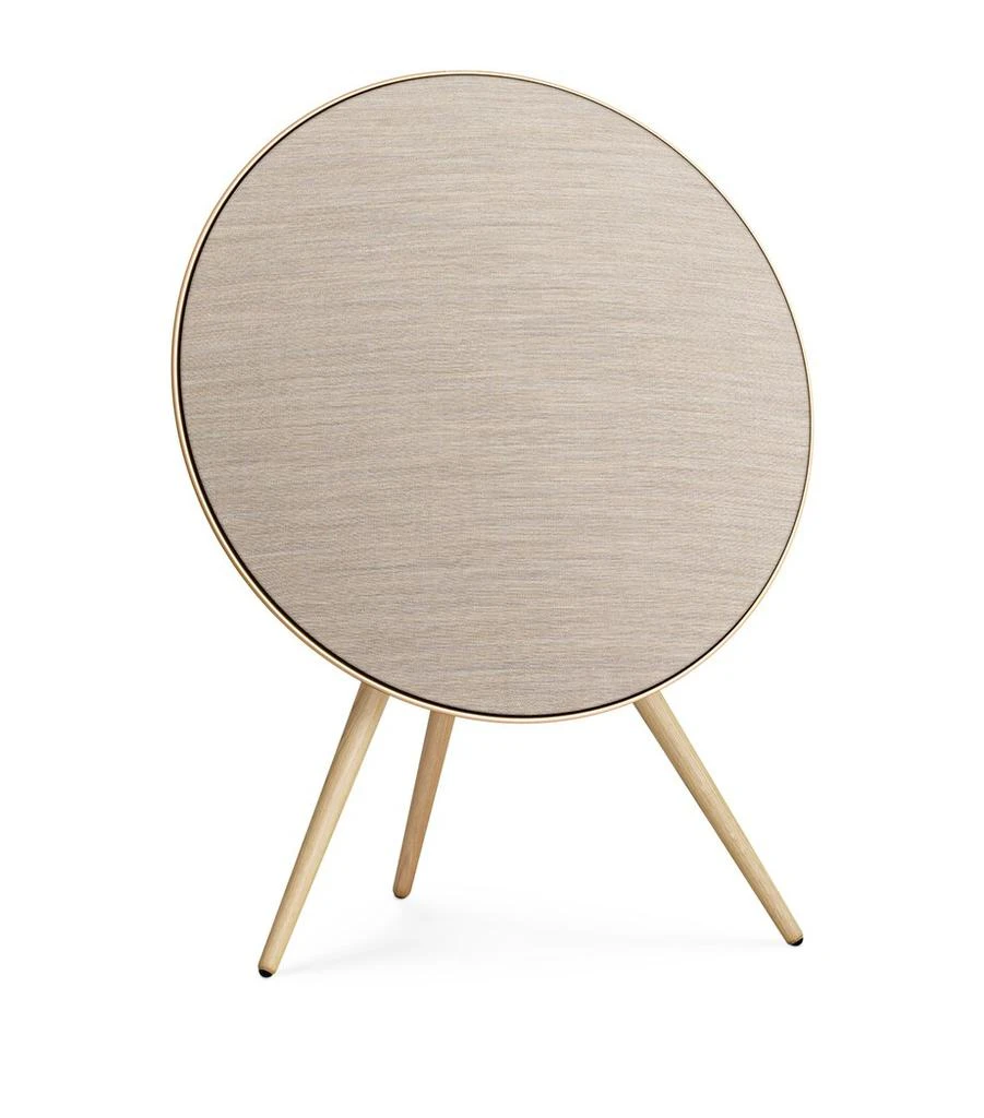 Bang & Olufsen Beosound A9 5th Generation Speaker 1