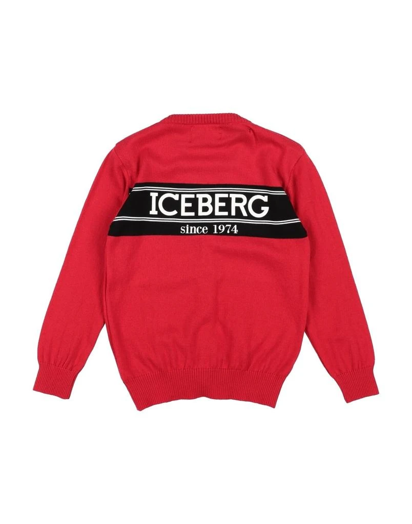 Iceberg Cardigan 2