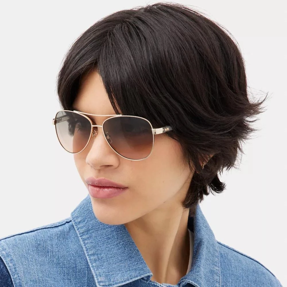 Coach Horse And Carriage Pilot Sunglasses 2