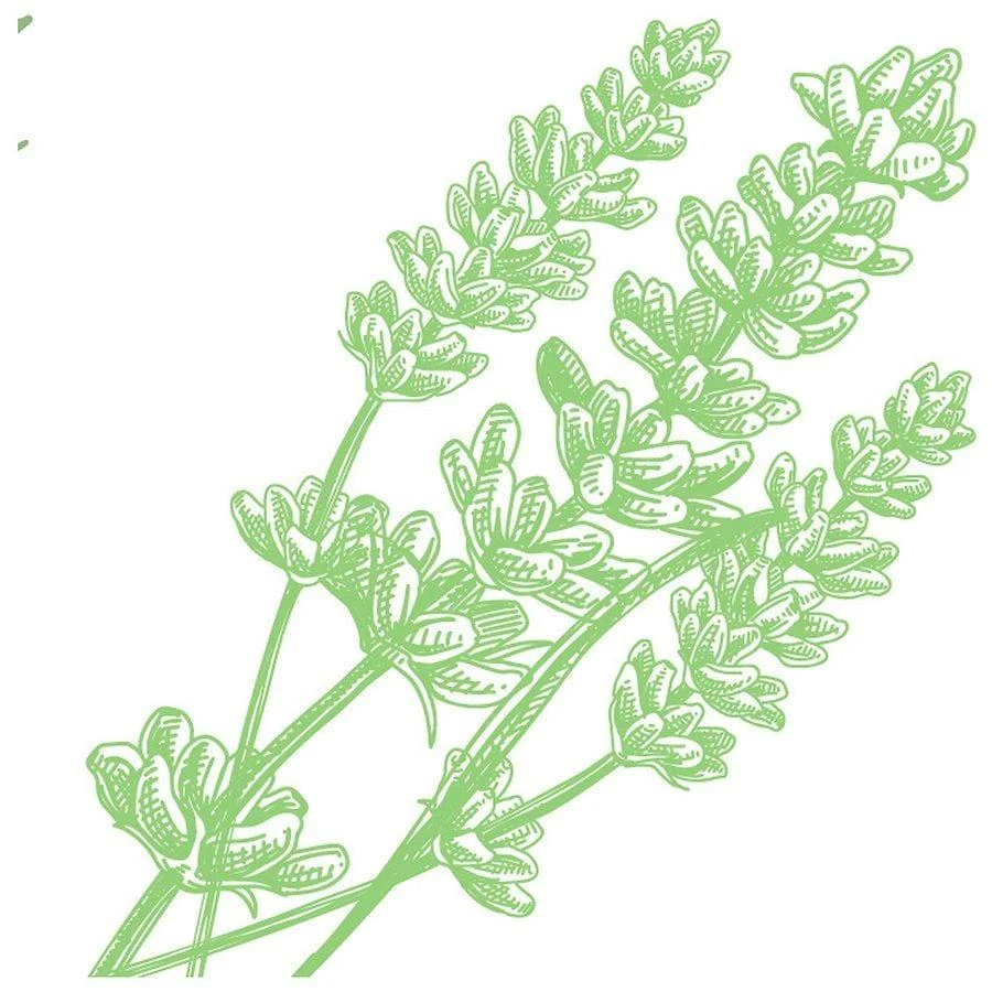 Arm
Hammer Deodorant- Fresh Rosemary Lavender- Solid Fresh 4