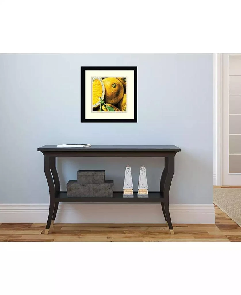 Amanti Art Lemons Framed Art Print 5