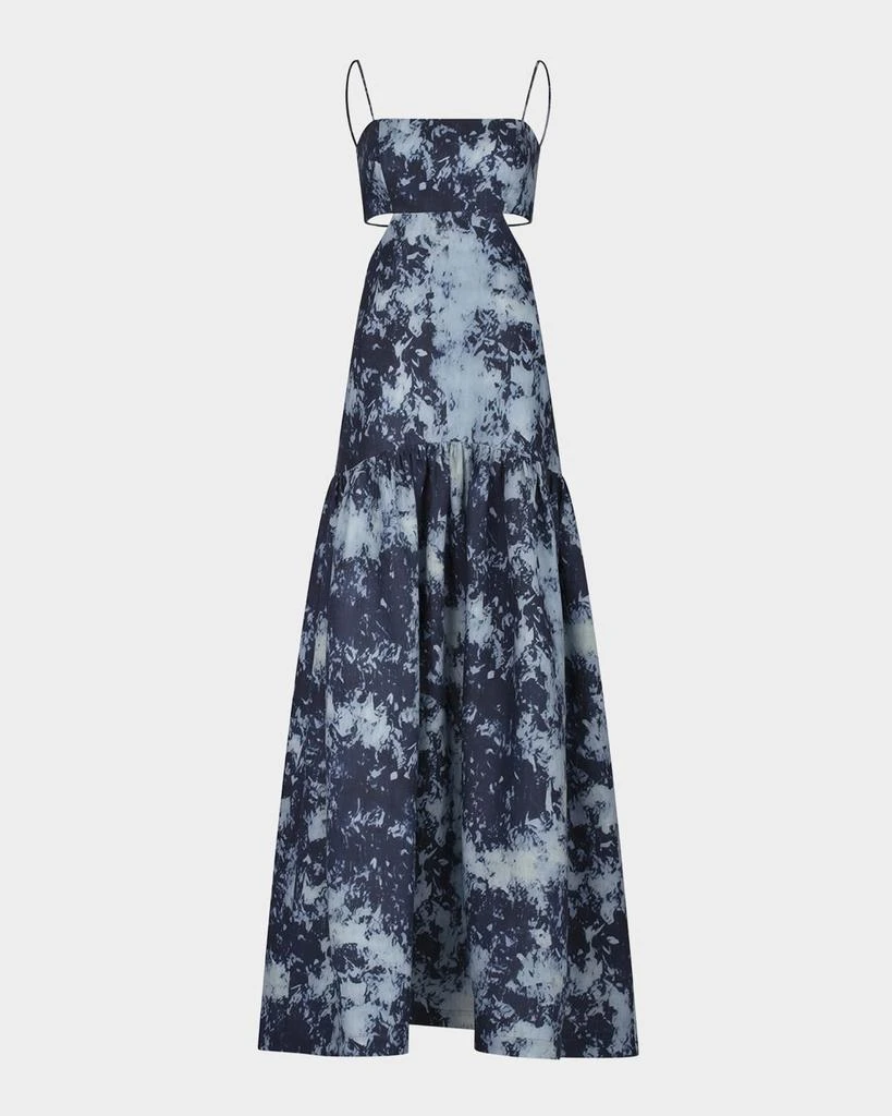 Silvia Tcherassi Shannon Tie-Dye Drop-Waist Backless Maxi Dress 1