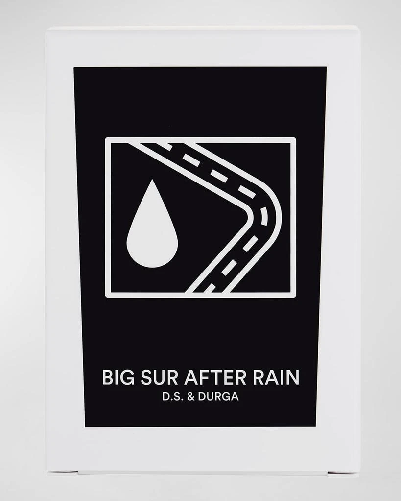 D.S. & Durga 7 oz. Big Sur After Rain Candle 2
