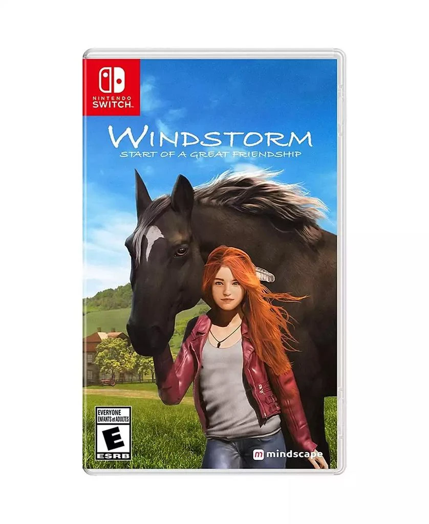 Maximum Games WINDSTORM START OF A GREAT FREINDSHIP - SWITCH 3